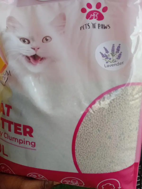 CAT LITTET